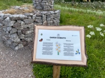 Interpretation sign at Dobshill, with wildflowers and stone wall in background 