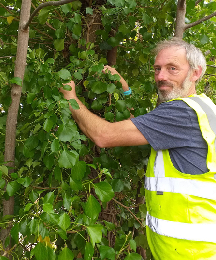 Ash working on hedgerow site, wearing yellow refelective vest.