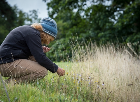 Woman surveying grassland